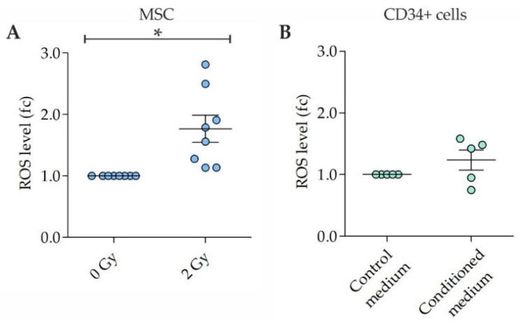 https://cdn.ncbi.nlm.nih.gov/pmc/blobs/d8e7/8197937/94d0c8ddb607/ijms-22-05844-g001.jpg
