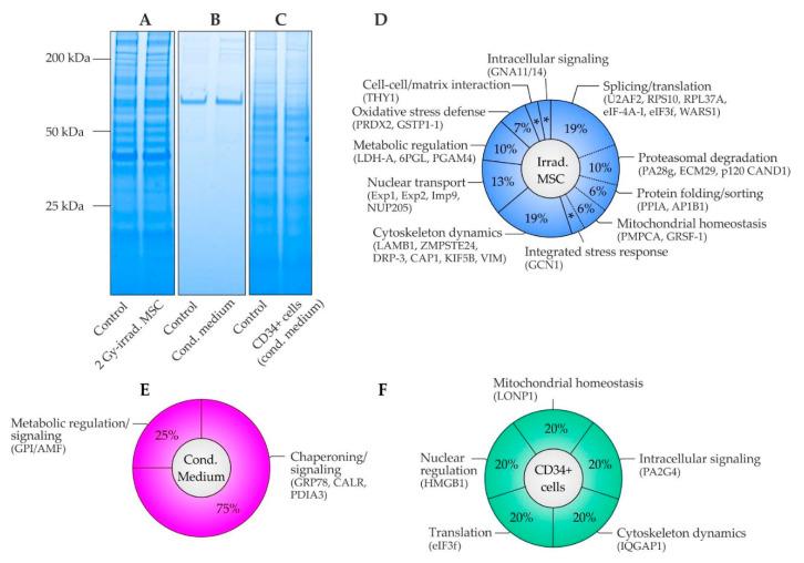 https://cdn.ncbi.nlm.nih.gov/pmc/blobs/d8e7/8197937/abdd9e0feb45/ijms-22-05844-g003.jpg