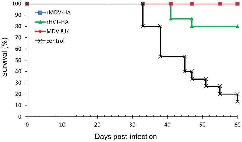 https://cdn.ncbi.nlm.nih.gov/pmc/blobs/d8e8/3536743/900f98b0ae41/pone.0053340.g005.jpg