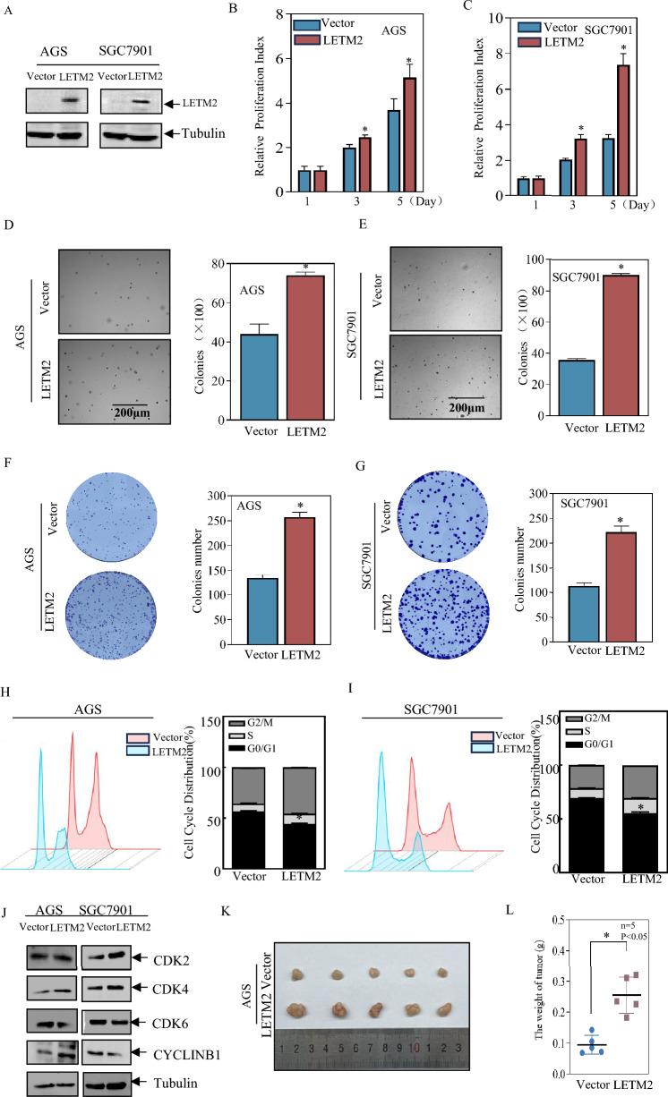 https://cdn.ncbi.nlm.nih.gov/pmc/blobs/d8e9/11040813/8b9372bb66ef/12967_2024_5109_Fig6_HTML.jpg