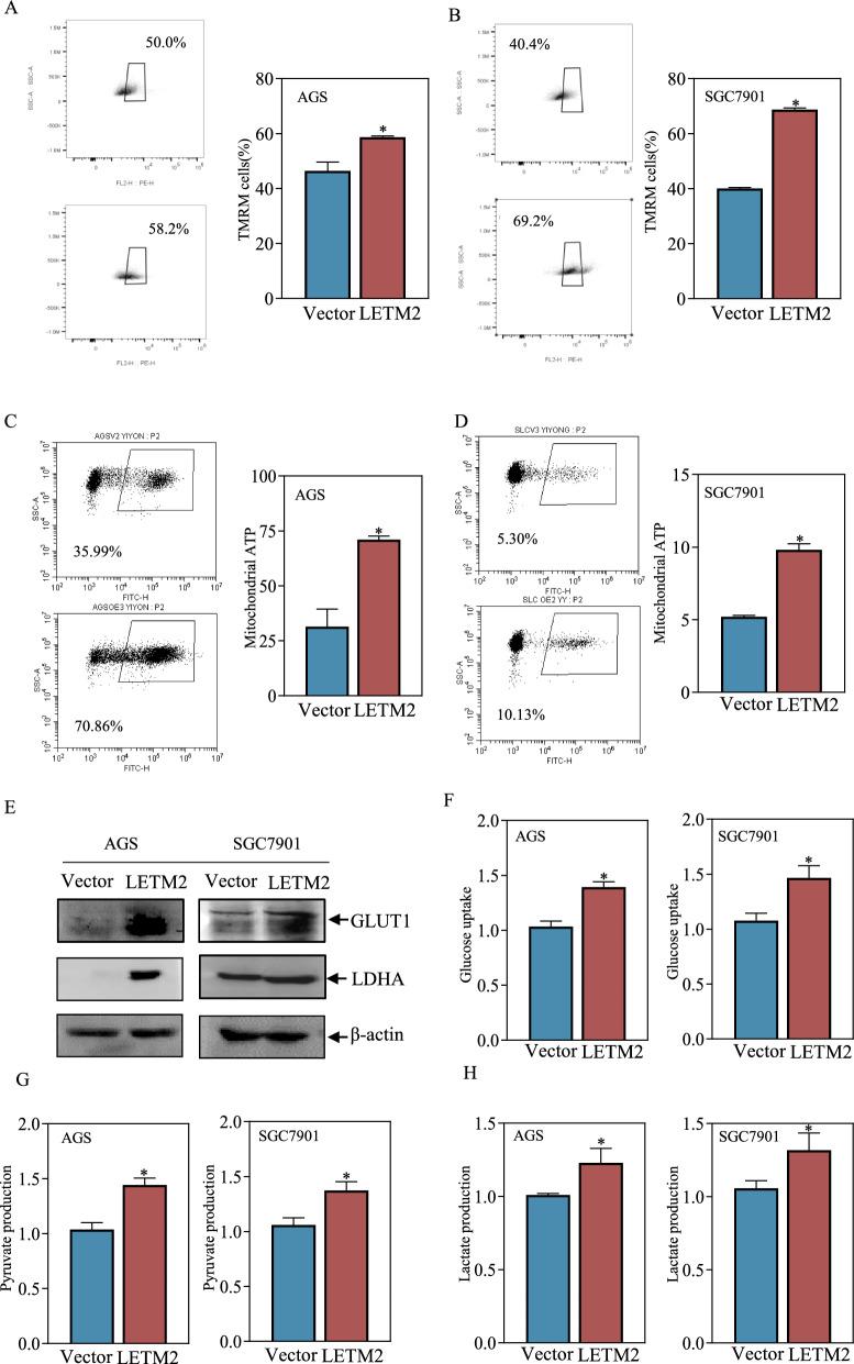 https://cdn.ncbi.nlm.nih.gov/pmc/blobs/d8e9/11040813/da5256984377/12967_2024_5109_Fig7_HTML.jpg