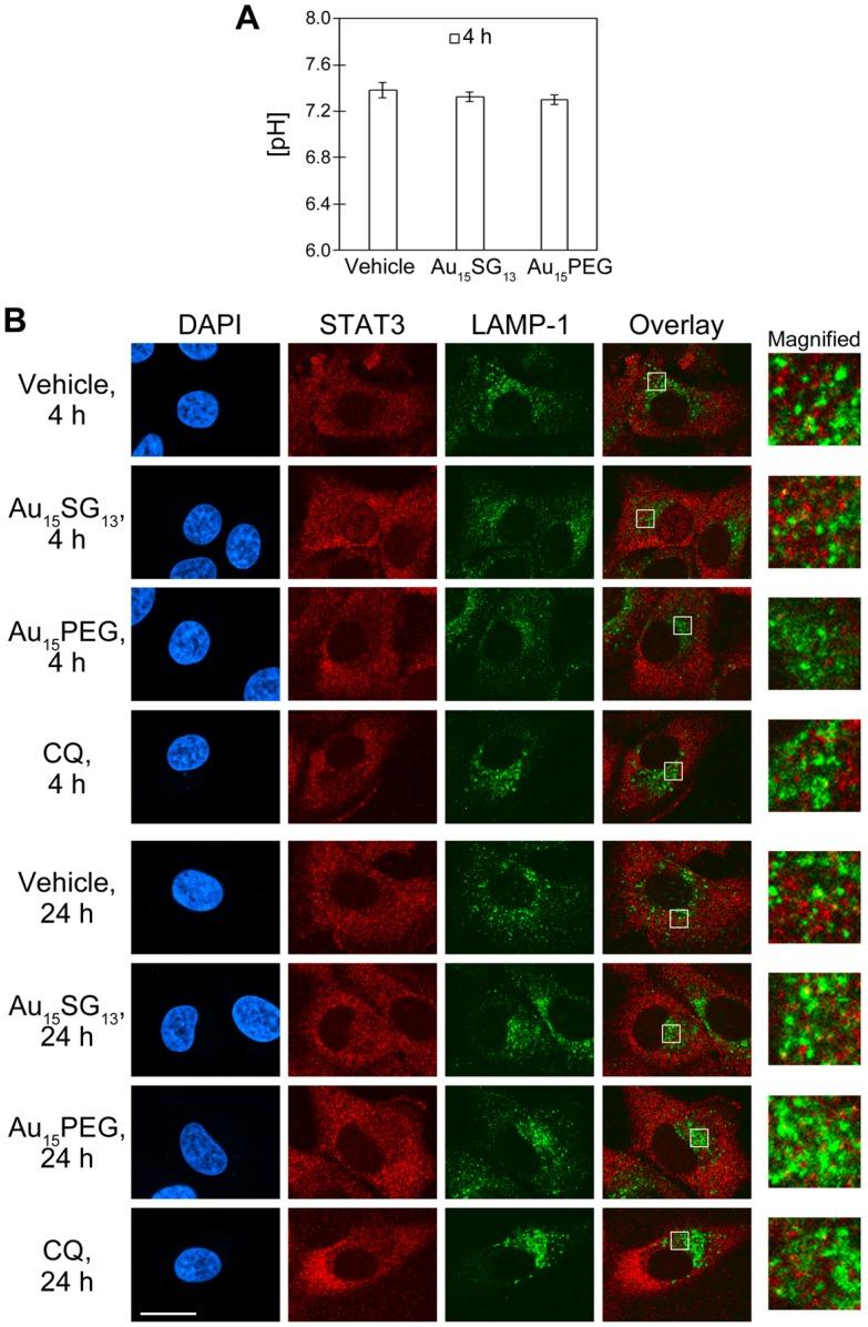 https://cdn.ncbi.nlm.nih.gov/pmc/blobs/d8eb/6993243/abb00268cfa6/thnov10p1633g004.jpg