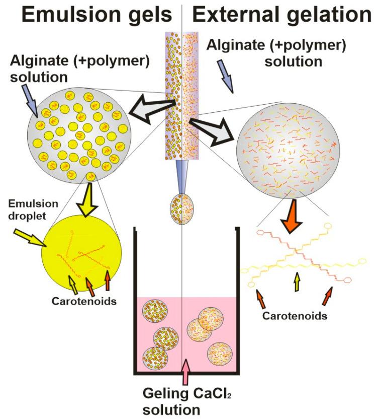 https://cdn.ncbi.nlm.nih.gov/pmc/blobs/d8f0/10454207/9251d2277208/gels-09-00620-g002.jpg