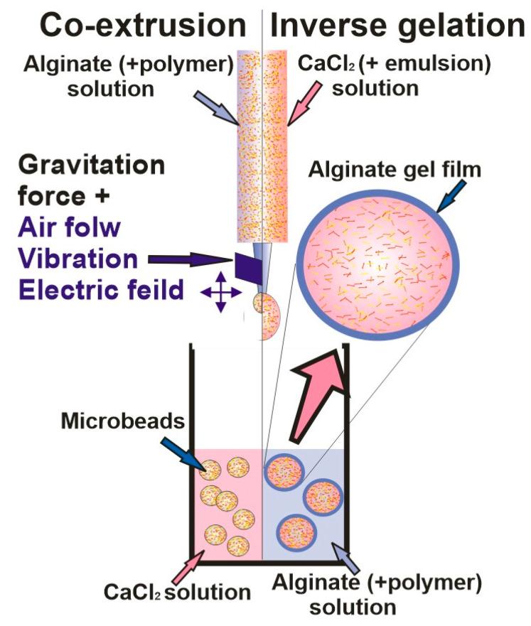 https://cdn.ncbi.nlm.nih.gov/pmc/blobs/d8f0/10454207/d2d987c91c0b/gels-09-00620-g003.jpg