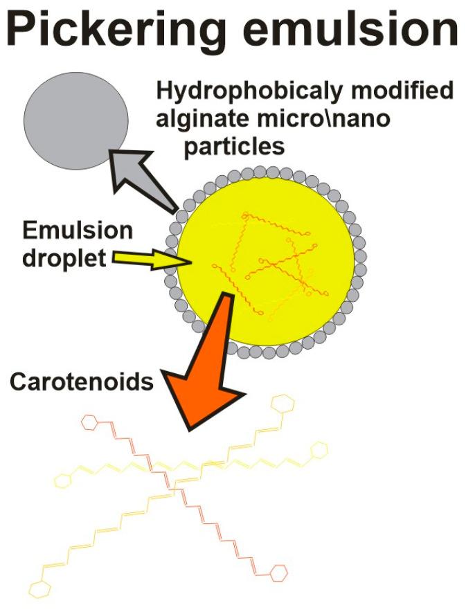 https://cdn.ncbi.nlm.nih.gov/pmc/blobs/d8f0/10454207/e00413b86b2b/gels-09-00620-g004.jpg