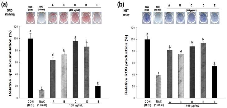 https://cdn.ncbi.nlm.nih.gov/pmc/blobs/d8f2/6270600/c48d2f2f726c/molecules-18-12937-g004.jpg