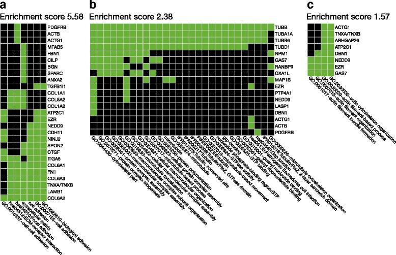 https://cdn.ncbi.nlm.nih.gov/pmc/blobs/d8f3/5547529/430280437d17/12891_2017_1705_Fig3_HTML.jpg