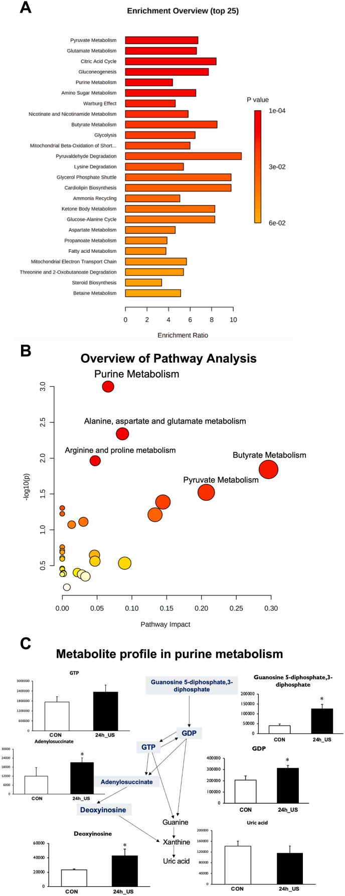 https://cdn.ncbi.nlm.nih.gov/pmc/blobs/d8f4/11986604/6bab5a2d20c5/gr4.jpg