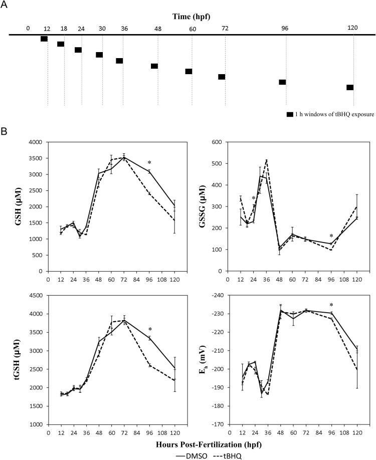 https://cdn.ncbi.nlm.nih.gov/pmc/blobs/d8f7/5458767/aa3bf118d5f8/gr1.jpg