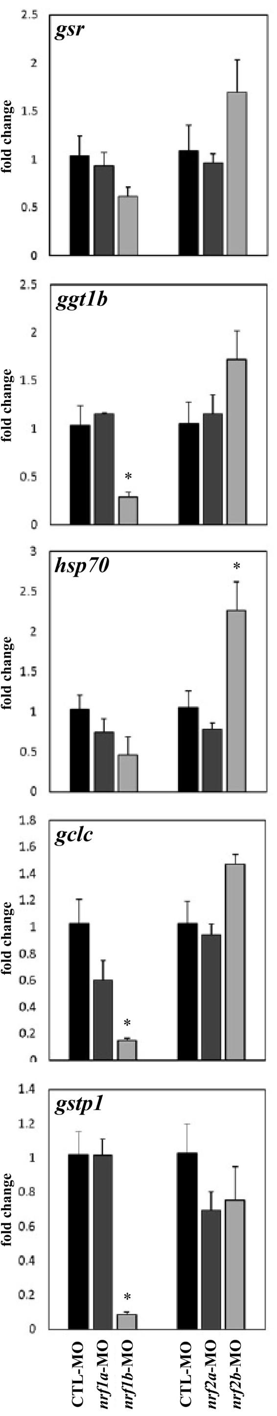 https://cdn.ncbi.nlm.nih.gov/pmc/blobs/d8f7/5458767/e1fd777d9027/gr8.jpg