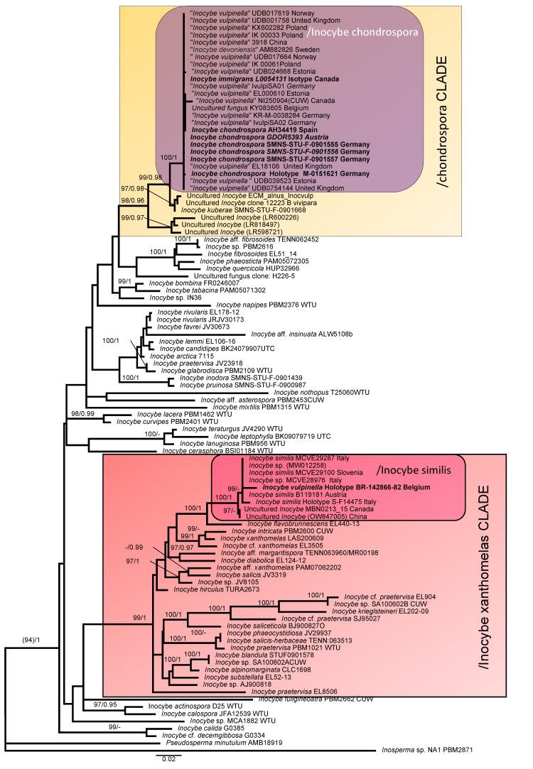 https://cdn.ncbi.nlm.nih.gov/pmc/blobs/d8f8/10304480/42dc1f30bb71/jof-09-00679-g001.jpg