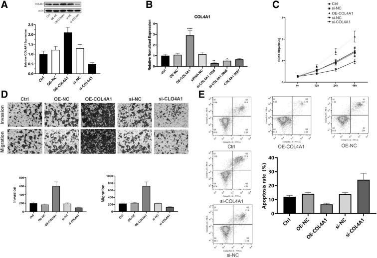 https://cdn.ncbi.nlm.nih.gov/pmc/blobs/d8f8/10979683/2b4ca9757f42/gtmb.2023.0193_figure7.jpg