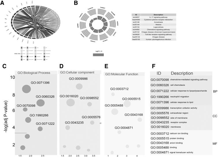 https://cdn.ncbi.nlm.nih.gov/pmc/blobs/d8f8/10979683/5ca83b0cee06/gtmb.2023.0193_figure2.jpg