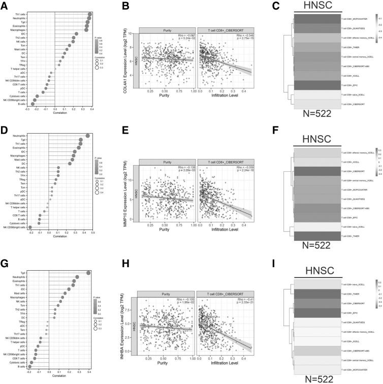 https://cdn.ncbi.nlm.nih.gov/pmc/blobs/d8f8/10979683/eb4ac271d0dd/gtmb.2023.0193_figure6.jpg