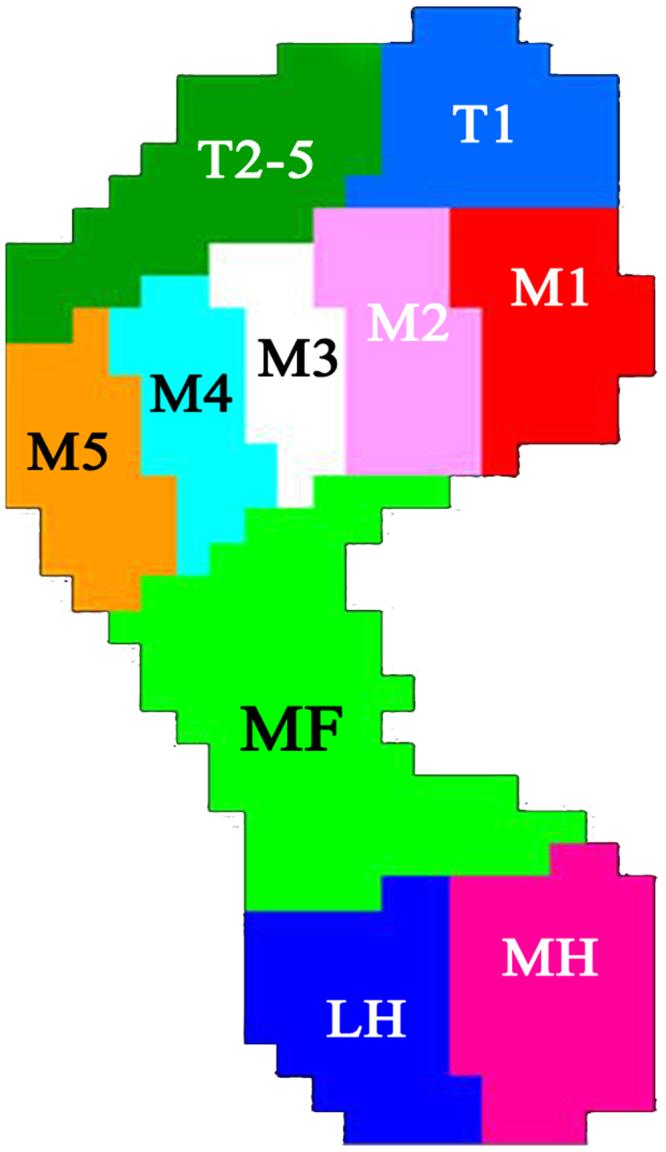 https://cdn.ncbi.nlm.nih.gov/pmc/blobs/d8f8/5908870/ffb42cc97214/41598_2018_24737_Fig1_HTML.jpg
