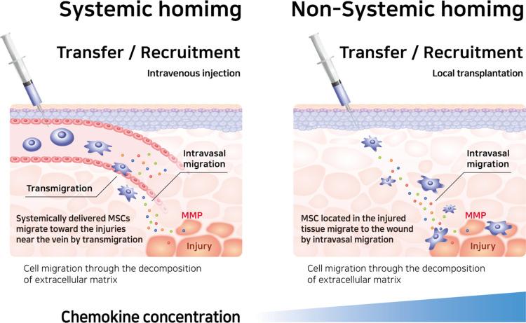 https://cdn.ncbi.nlm.nih.gov/pmc/blobs/d8f9/8725870/8ddbd93911d4/IJN-16-8485-g0003.jpg