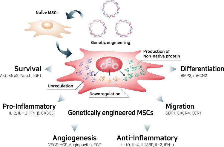 https://cdn.ncbi.nlm.nih.gov/pmc/blobs/d8f9/8725870/d06e8a99644b/IJN-16-8485-g0004.jpg