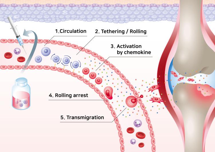 https://cdn.ncbi.nlm.nih.gov/pmc/blobs/d8f9/8725870/eda0bef55c68/IJN-16-8485-g0001.jpg
