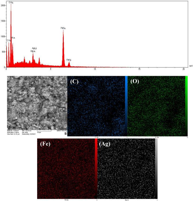 https://cdn.ncbi.nlm.nih.gov/pmc/blobs/d8f9/9372062/127cf5a1e91b/41598_2022_18131_Fig3_HTML.jpg