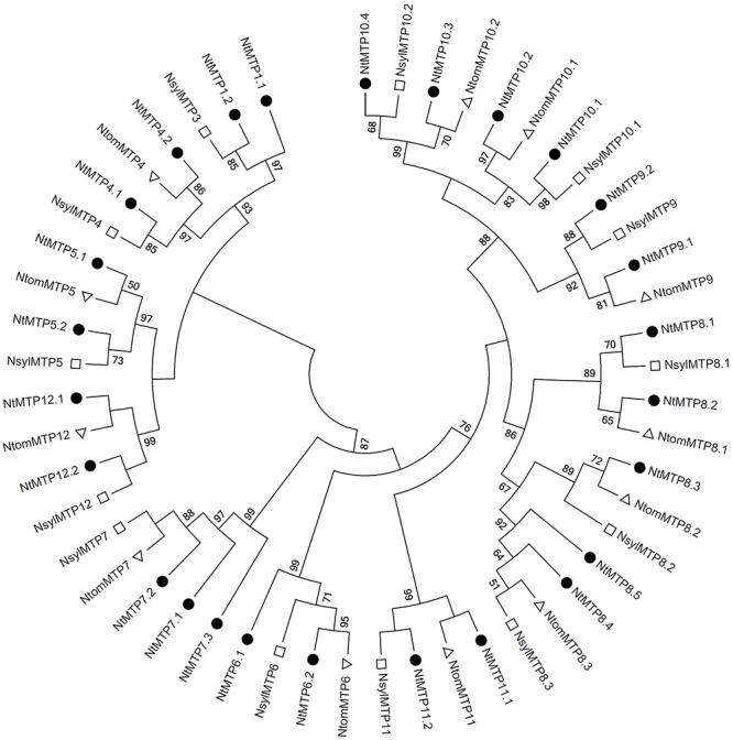 https://cdn.ncbi.nlm.nih.gov/pmc/blobs/d8fa/6491887/dc5d8055dde0/fgene-10-00345-g006.jpg