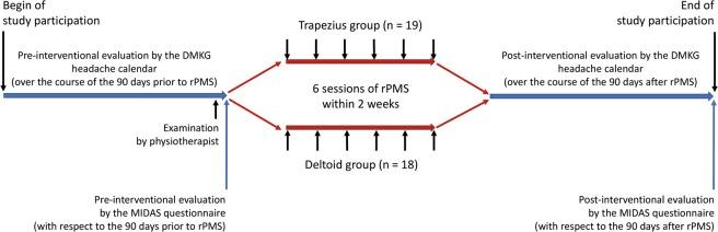 https://cdn.ncbi.nlm.nih.gov/pmc/blobs/d8fd/7136237/f7245551ef4a/41598_2020_62701_Fig3_HTML.jpg
