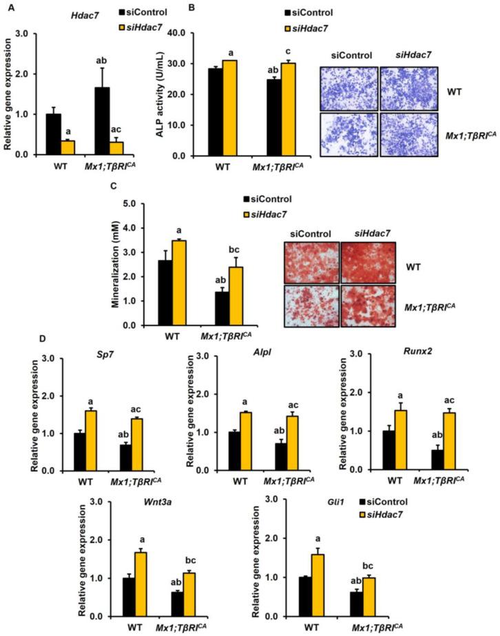 https://cdn.ncbi.nlm.nih.gov/pmc/blobs/d8fe/11173332/aac8827dc74c/ijms-25-05829-g009.jpg