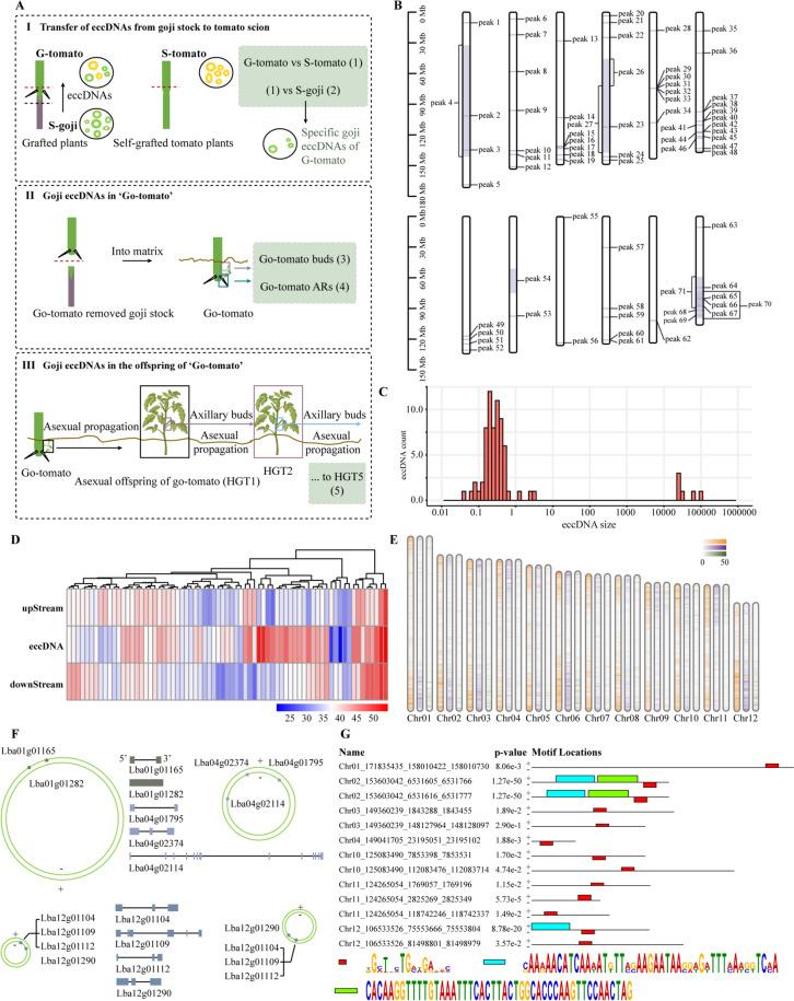 https://cdn.ncbi.nlm.nih.gov/pmc/blobs/d8fe/11577957/0b5c3ddcfd18/43897_2024_124_Fig4_HTML.jpg