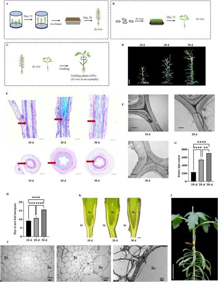 https://cdn.ncbi.nlm.nih.gov/pmc/blobs/d8fe/11577957/68bffb21b535/43897_2024_124_Fig1_HTML.jpg