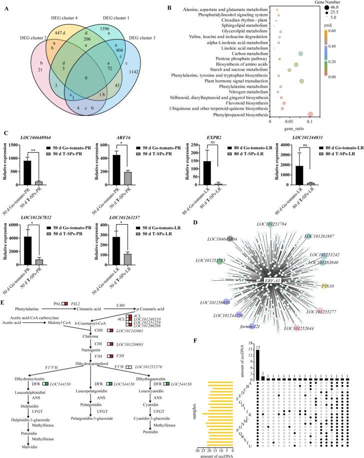 https://cdn.ncbi.nlm.nih.gov/pmc/blobs/d8fe/11577957/aa6c08379653/43897_2024_124_Fig5_HTML.jpg