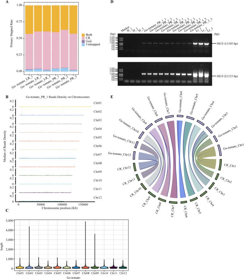 https://cdn.ncbi.nlm.nih.gov/pmc/blobs/d8fe/11577957/ce7de75b49c2/43897_2024_124_Fig3_HTML.jpg