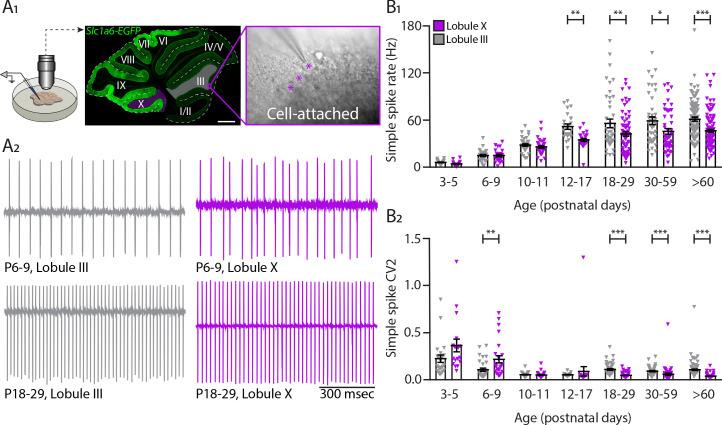 https://cdn.ncbi.nlm.nih.gov/pmc/blobs/d8fe/8195607/95ba2e8ac46d/elife-63668-fig2.jpg