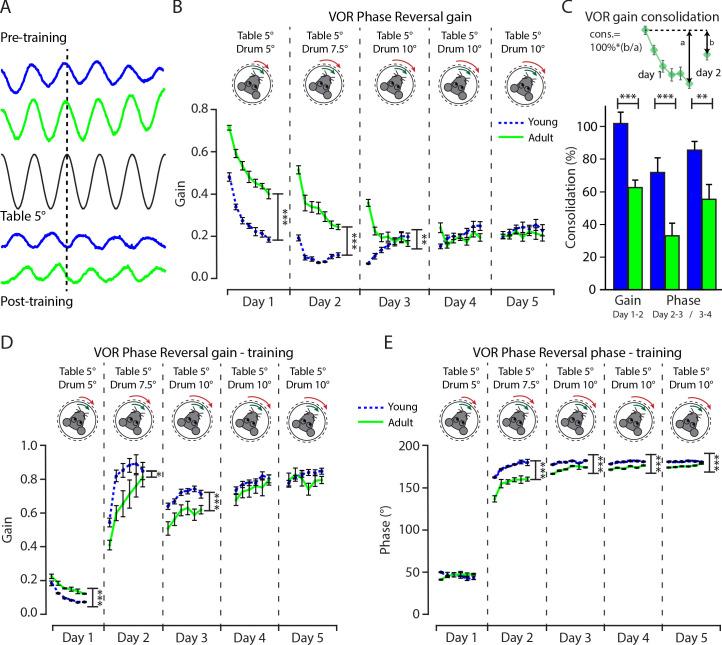 https://cdn.ncbi.nlm.nih.gov/pmc/blobs/d8fe/8195607/cd2b9e32dc50/elife-63668-fig6-figsupp2.jpg