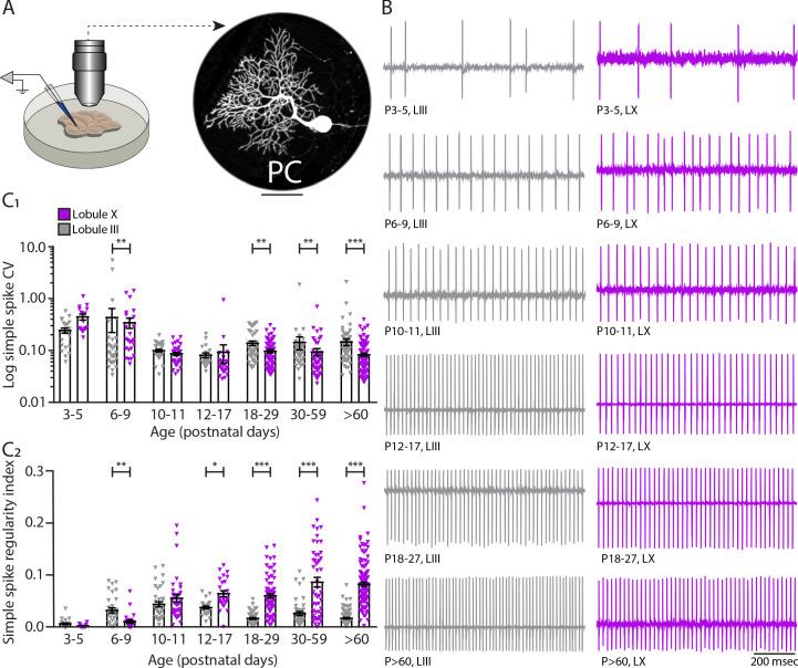 https://cdn.ncbi.nlm.nih.gov/pmc/blobs/d8fe/8195607/d6b59360d690/elife-63668-fig2-figsupp1.jpg
