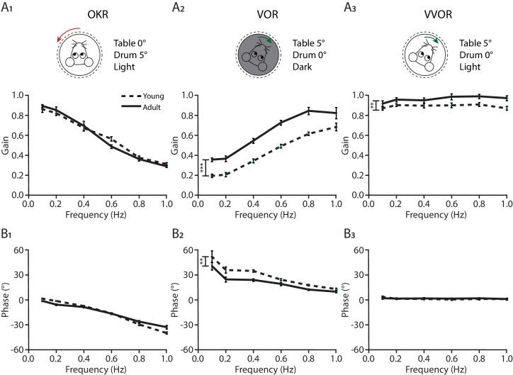 https://cdn.ncbi.nlm.nih.gov/pmc/blobs/d8fe/8195607/faa37f79d3ec/elife-63668-fig6-figsupp1.jpg