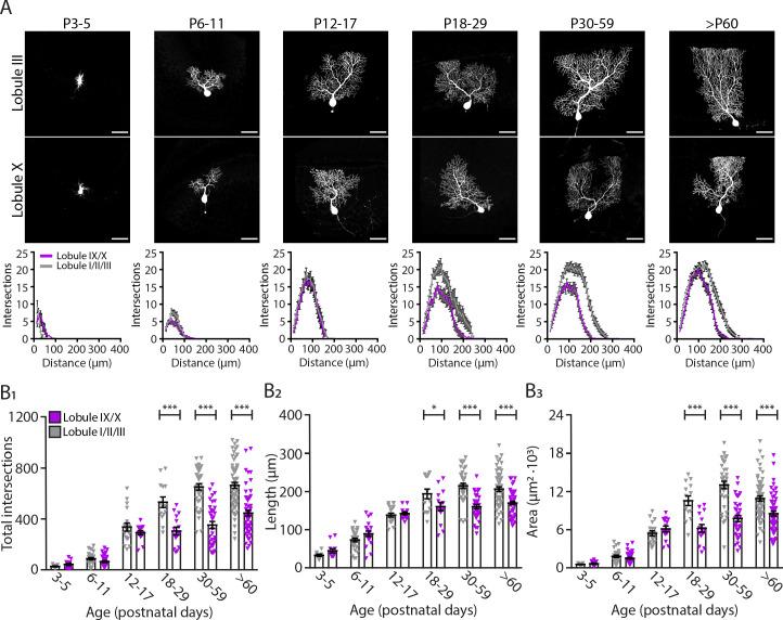 https://cdn.ncbi.nlm.nih.gov/pmc/blobs/d8fe/8195607/ffa0b418854c/elife-63668-fig3.jpg