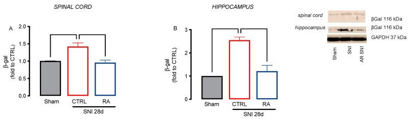 https://cdn.ncbi.nlm.nih.gov/pmc/blobs/d900/9312967/026ed70e93f4/biomedicines-10-01468-g005.jpg
