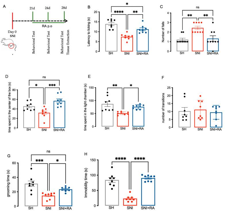 https://cdn.ncbi.nlm.nih.gov/pmc/blobs/d900/9312967/6b7247072441/biomedicines-10-01468-g004.jpg
