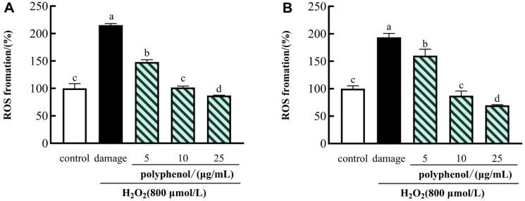https://cdn.ncbi.nlm.nih.gov/pmc/blobs/d901/9227481/00c180716df1/molecules-27-03767-g003.jpg