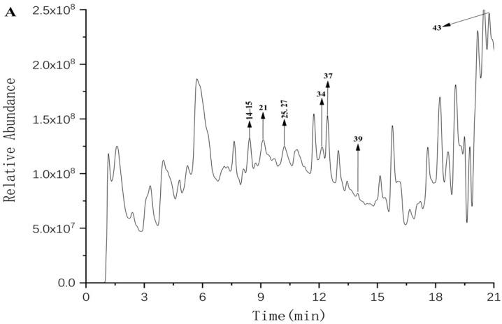 https://cdn.ncbi.nlm.nih.gov/pmc/blobs/d901/9227481/71bee628a5c2/molecules-27-03767-g001a.jpg