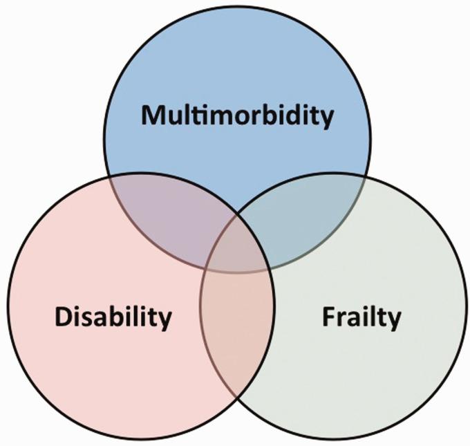 https://cdn.ncbi.nlm.nih.gov/pmc/blobs/d904/8864332/8cc50ab499d9/10.1177_17474930211034331-fig2.jpg