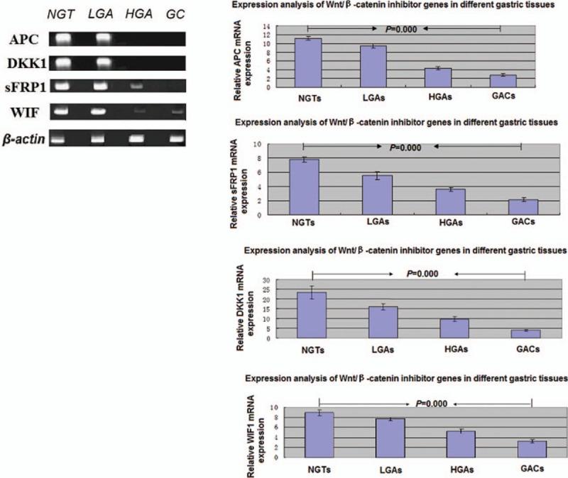 https://cdn.ncbi.nlm.nih.gov/pmc/blobs/d905/6314707/47e356350e17/medi-97-e13734-g004.jpg