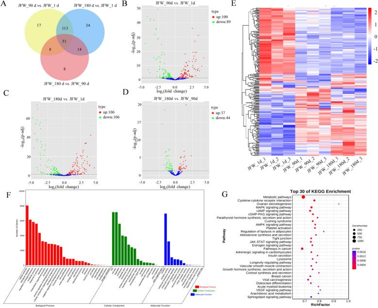 https://cdn.ncbi.nlm.nih.gov/pmc/blobs/d908/11137989/7b5daa4008d9/12864_2024_10422_Fig1_HTML.jpg