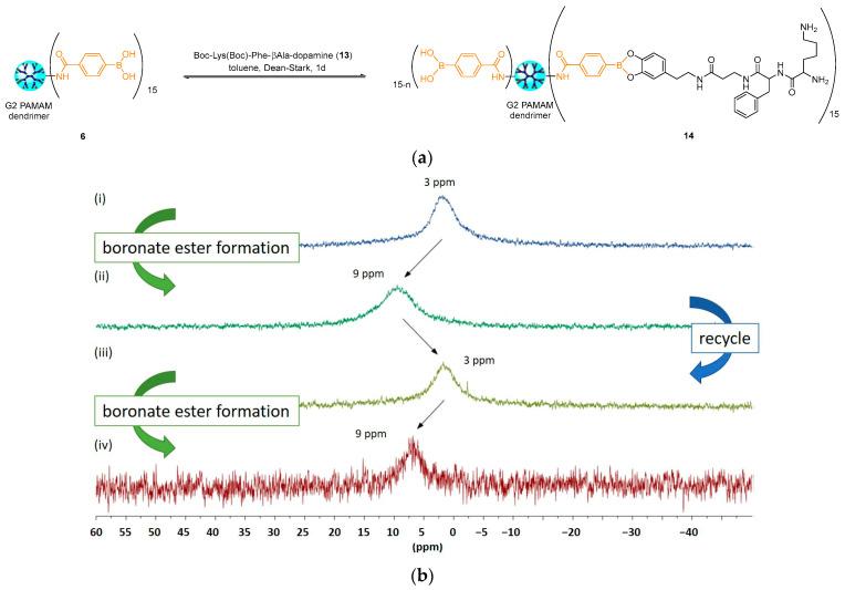 https://cdn.ncbi.nlm.nih.gov/pmc/blobs/d909/11644288/354c48a3723e/polymers-16-03258-g006.jpg