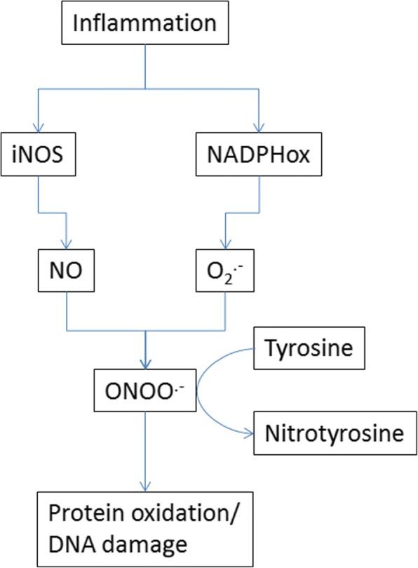 https://cdn.ncbi.nlm.nih.gov/pmc/blobs/d909/6109359/731ccfde6d43/12879_2018_3335_Fig1_HTML.jpg