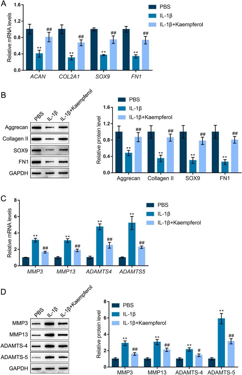https://cdn.ncbi.nlm.nih.gov/pmc/blobs/d90a/9999173/49b4f8d54557/gr6.jpg