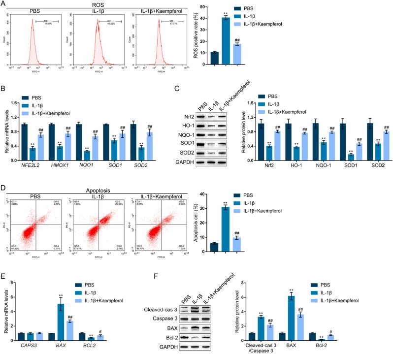 https://cdn.ncbi.nlm.nih.gov/pmc/blobs/d90a/9999173/61e4a88b3298/gr5.jpg