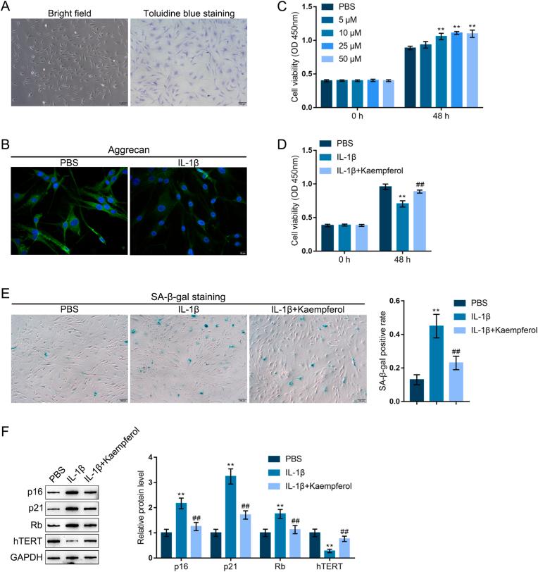 https://cdn.ncbi.nlm.nih.gov/pmc/blobs/d90a/9999173/d737077a89fe/gr4.jpg