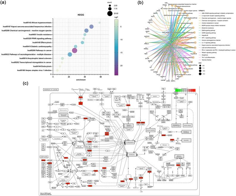 https://cdn.ncbi.nlm.nih.gov/pmc/blobs/d90b/11682073/b89250130307/41598_2024_82486_Fig7_HTML.jpg