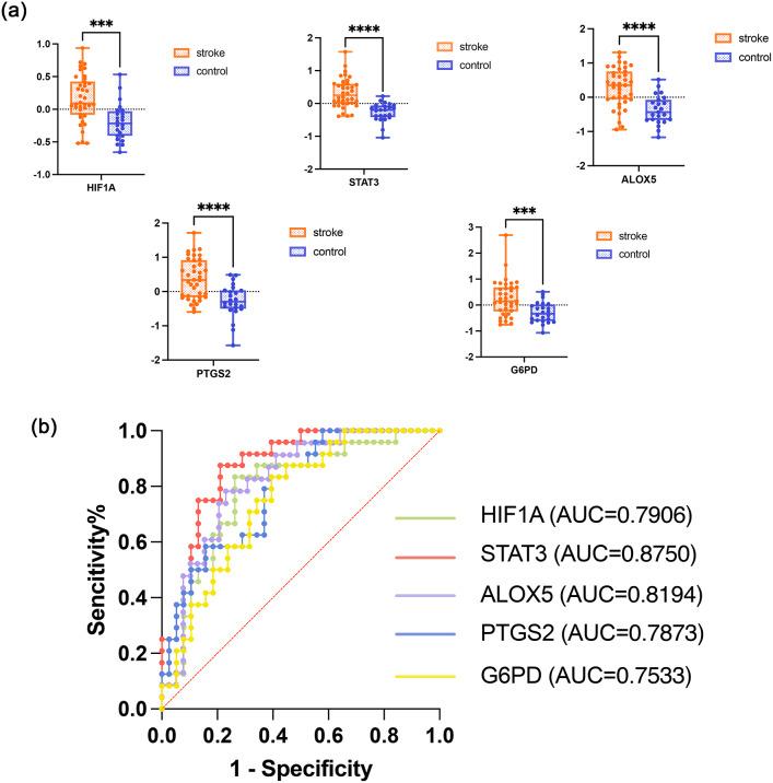 https://cdn.ncbi.nlm.nih.gov/pmc/blobs/d90b/11682073/c83a88949cff/41598_2024_82486_Fig10_HTML.jpg