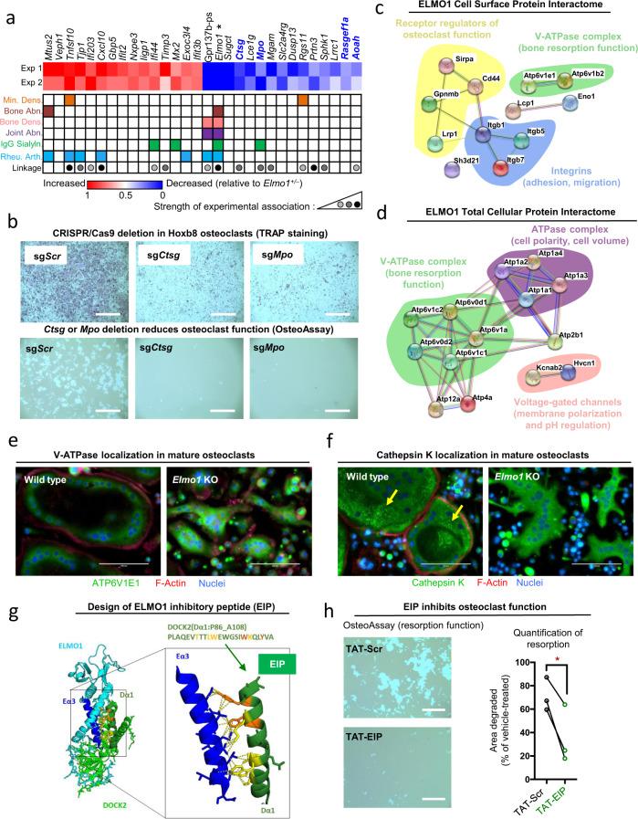 https://cdn.ncbi.nlm.nih.gov/pmc/blobs/d90b/8371122/195914fd819c/41467_2021_25239_Fig4_HTML.jpg